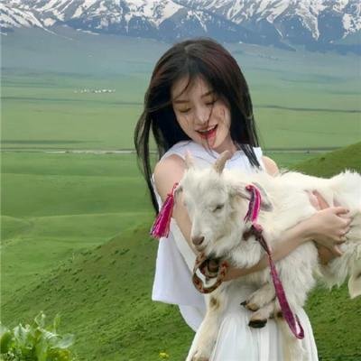 鱼缸里的生活